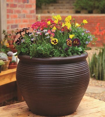 Potted Spring | DIY | Pots And Containers | The Gardener : The Gardener