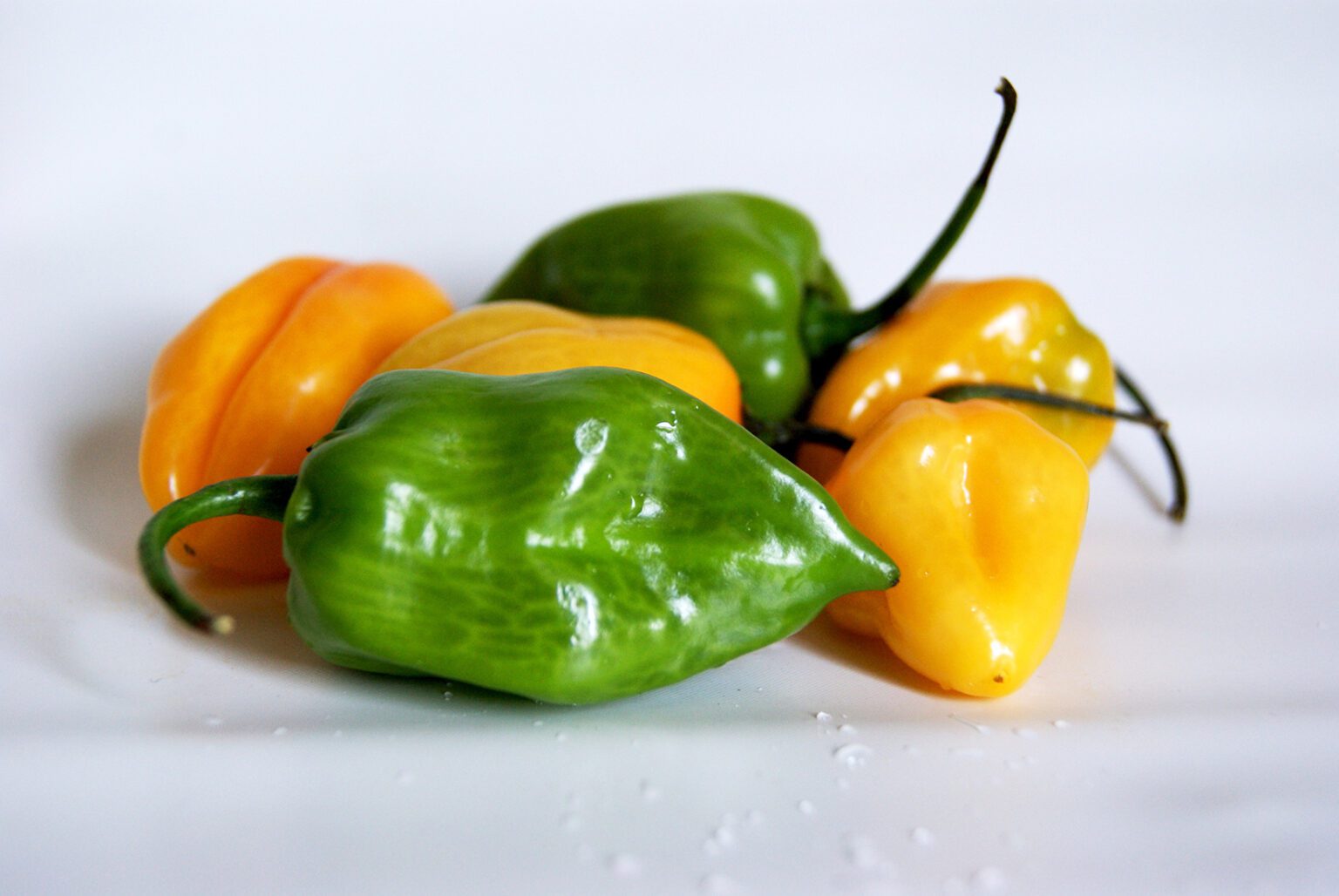 Summer Heat With Chillies | Veggies | Grow To Eat : The Gardener