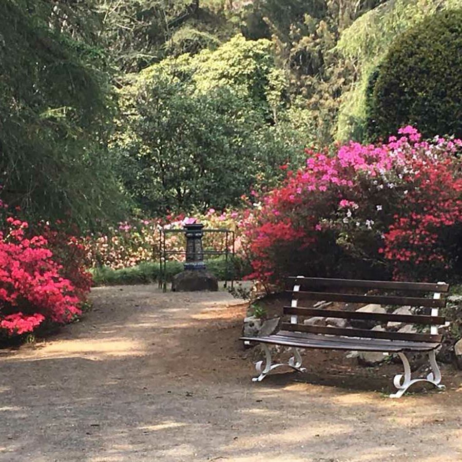 Harcourts Open Midlands Gardens - Karkloof and Curry's Post: Benvie
